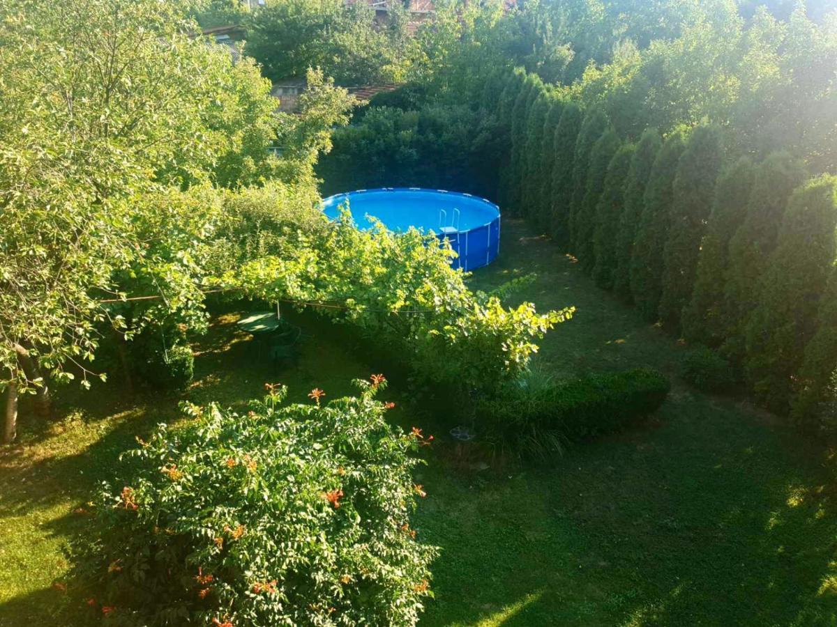 Guest House Dimitrije Niska Banja Exterior photo